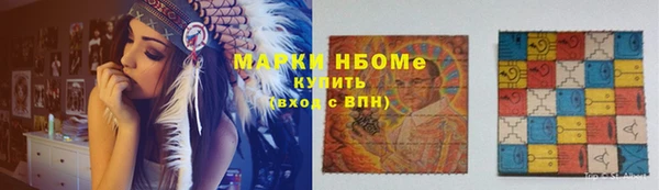 мдпв Богородск