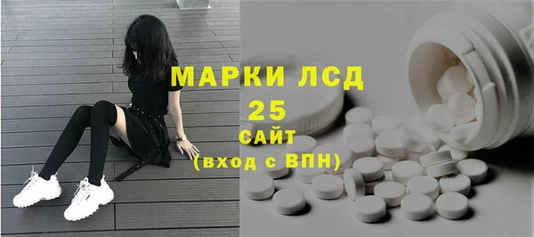 мдпв Богородск