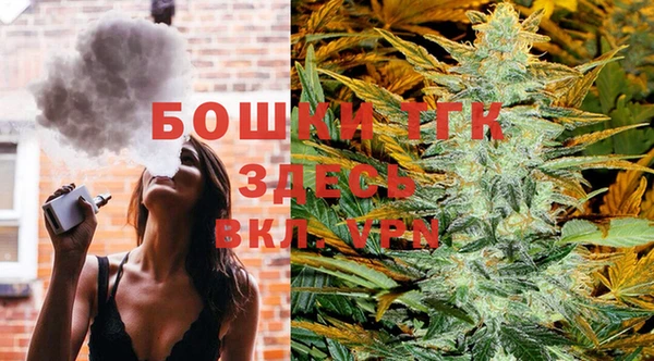 мдпв Богородск