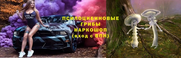 мдпв Богородск