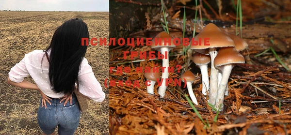 гашишное масло Богданович